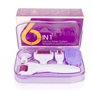 Derma Roller 6 in 1 System Avec Des Aiguilles De Titanium